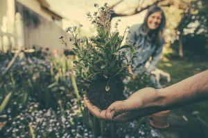 gardening-exercise