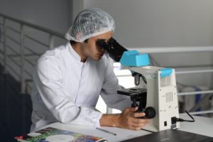 stem cell
